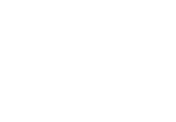 南京芯测软件技术有限公司